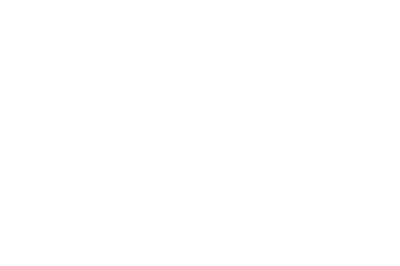 Logo PONTI